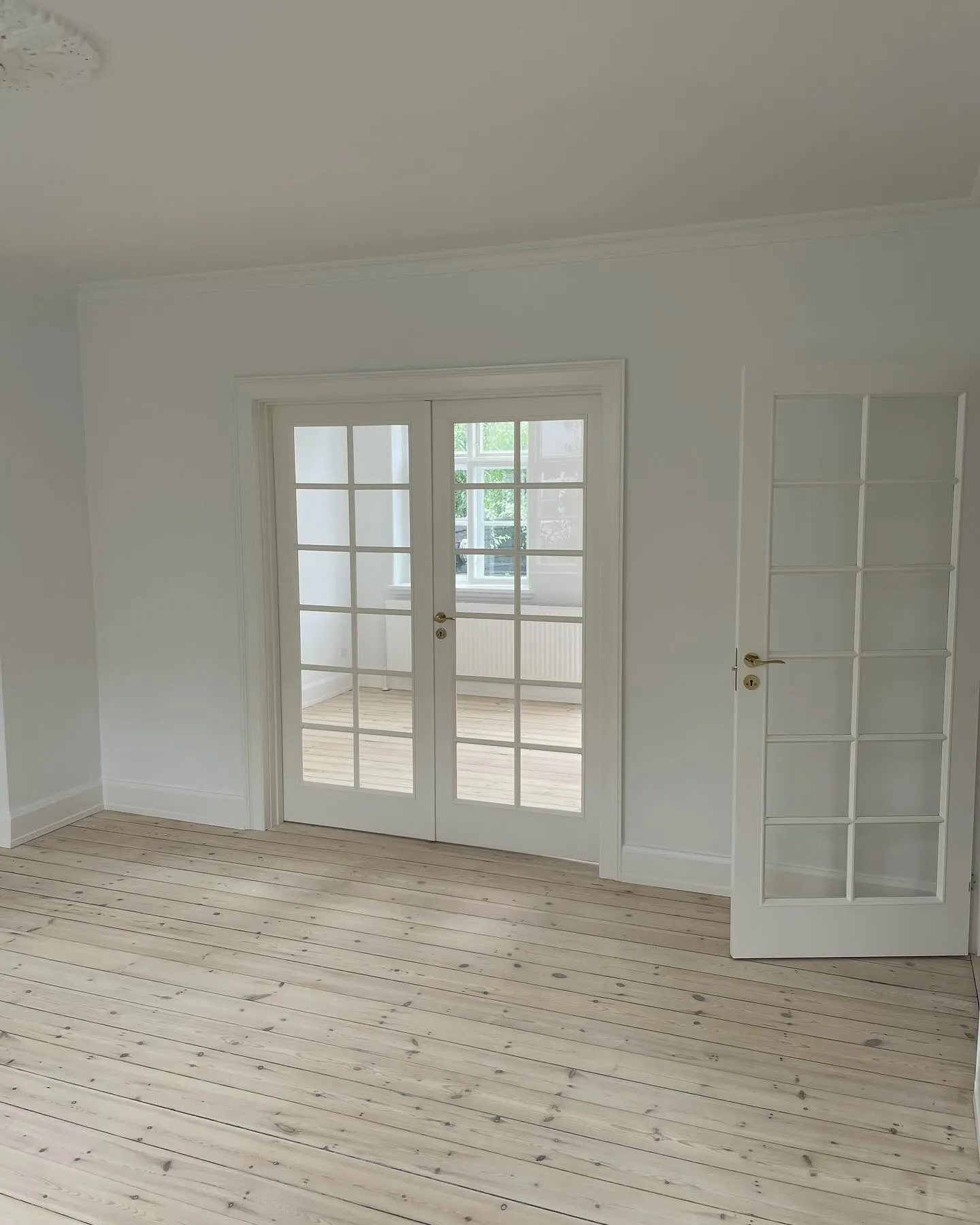 Stuk og roset i loft i ældre lejlighed